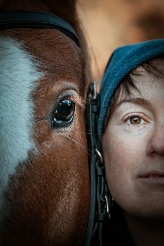 IMG_ANIMAUX_Apache_01