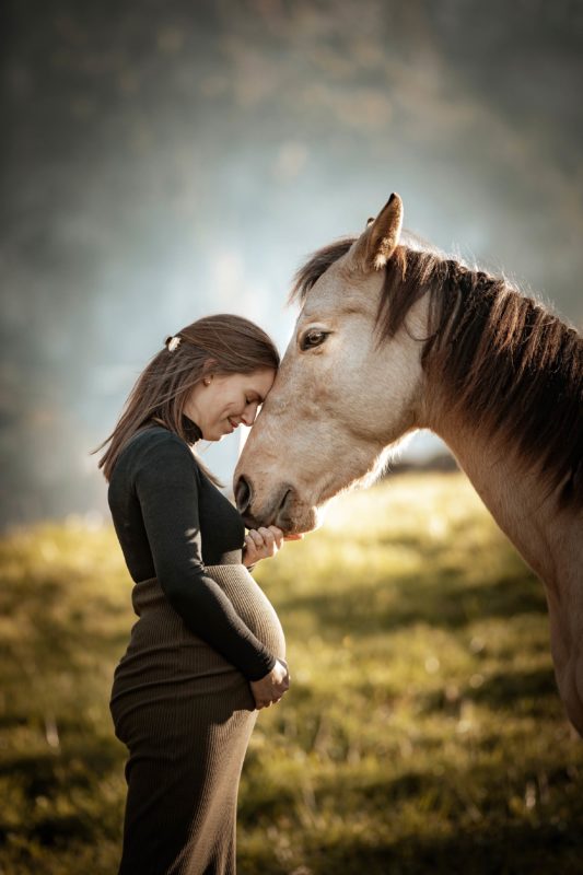 IMG_ANIMAUX_Flame_01