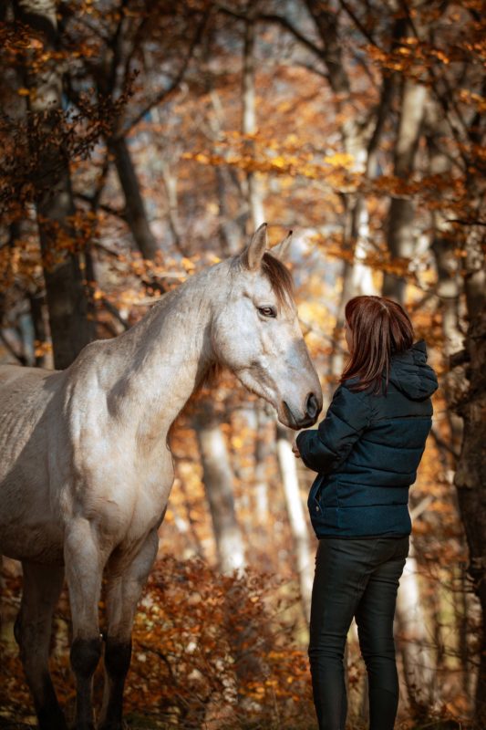 IMG_ANIMAUX_Flame_02