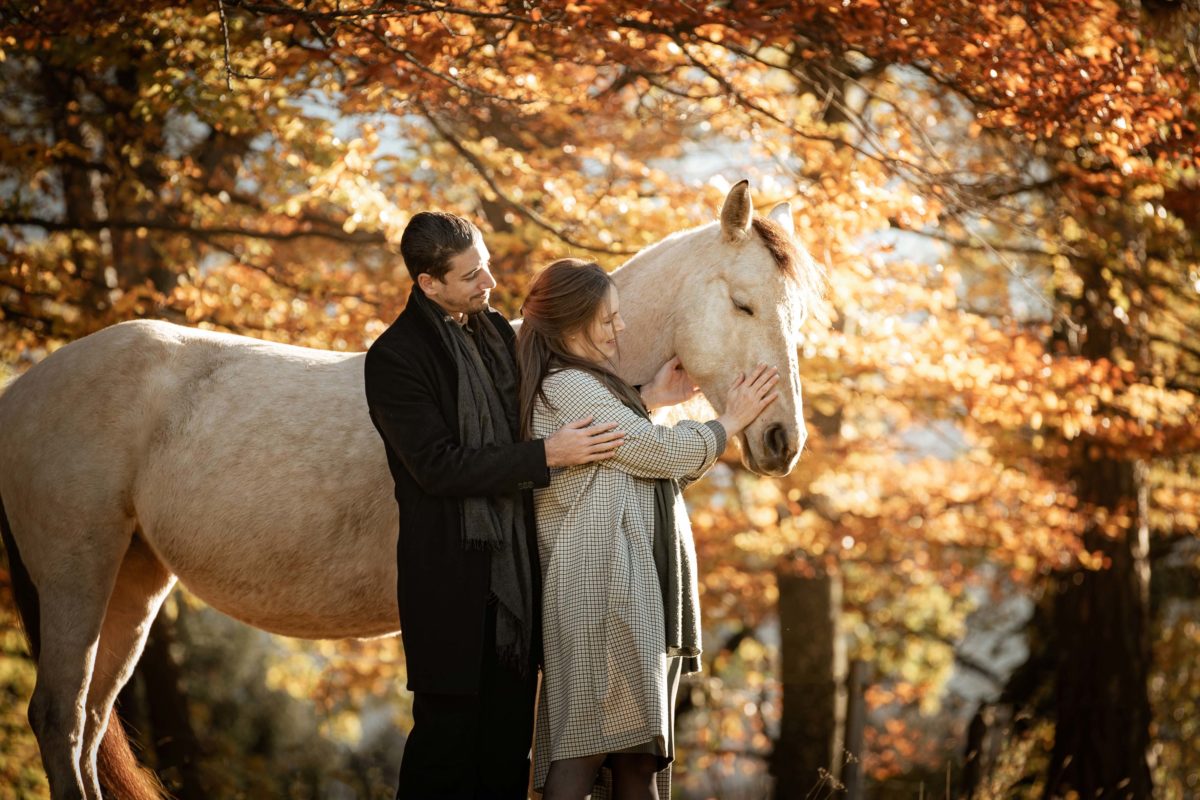 IMG_ANIMAUX_Flame_03