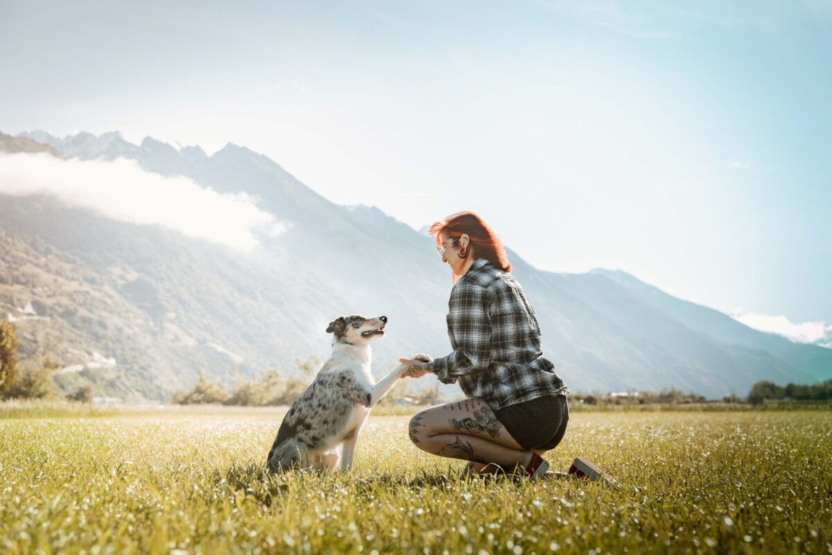 IMG_ANIMAUX_Valentina_02