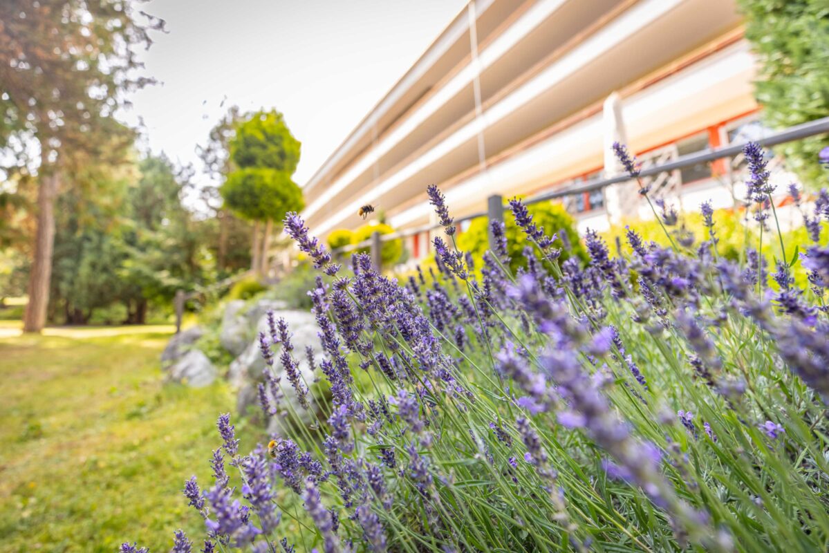 Focus Studio - Chloé Bazzi