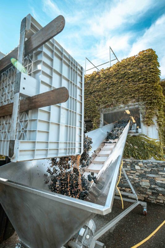 ©Focus Studio - Chloe Bazzi