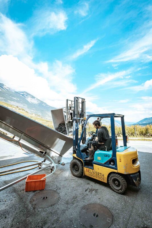 ©Focus Studio - Chloe Bazzi