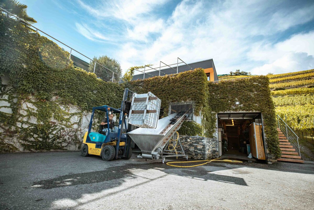 ©Focus Studio - Chloe Bazzi