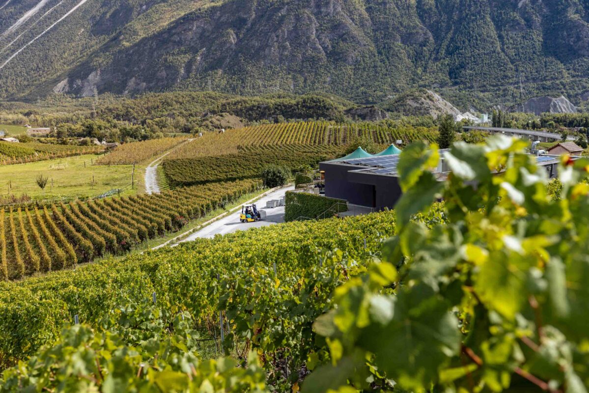 ©Focus Studio - Chloe Bazzi